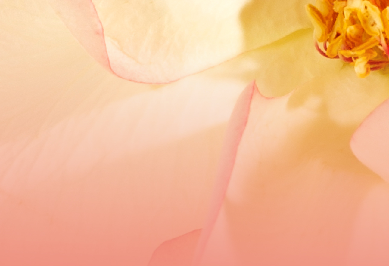 六福珠宝编辑推介 - 母亲节礼物指南｜妈妈最爱的保值首饰推荐活动描述背景图